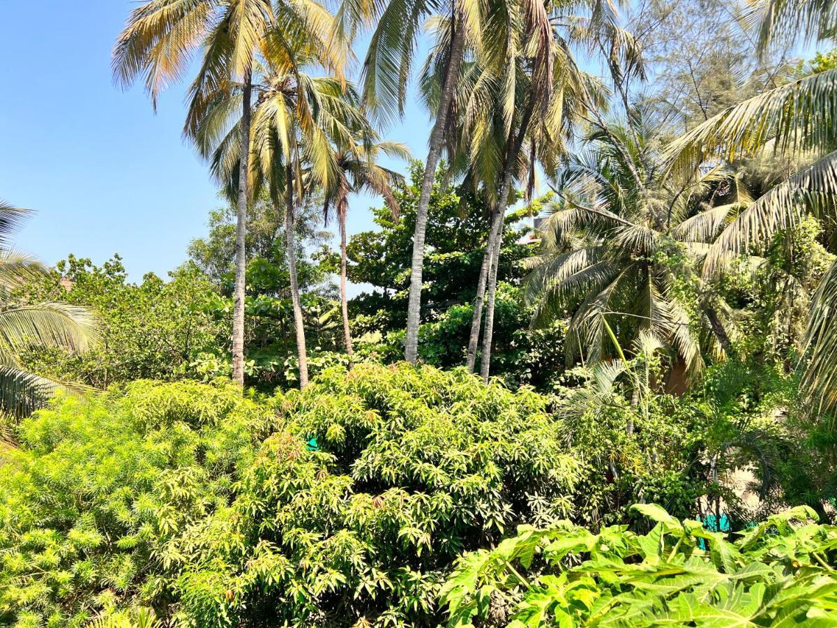 Kyel Villa Guest House Arambol Extérieur photo